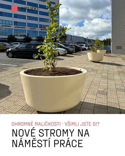 Všimli jste si nových stromů na náměstí Práce? 🌳 V rámci&nbsp;&hellip;