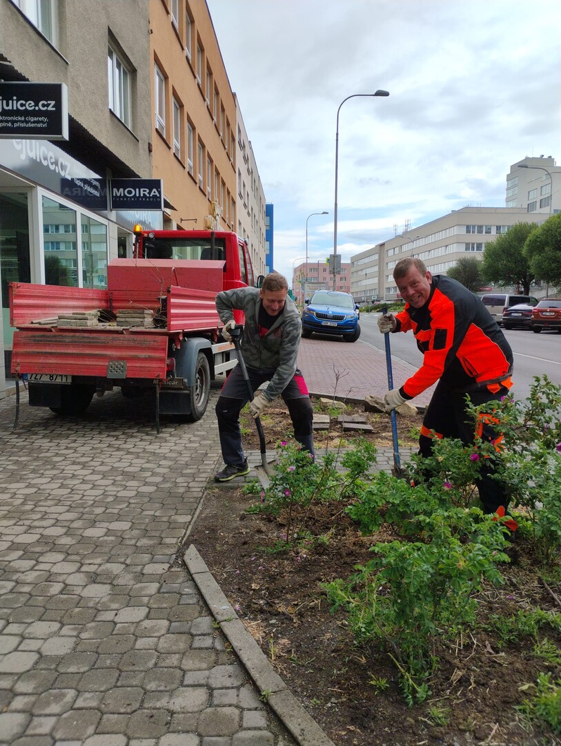 Pracovníci upravují trvalkový záhon vedle parkovacích míst na ulici Kvítková