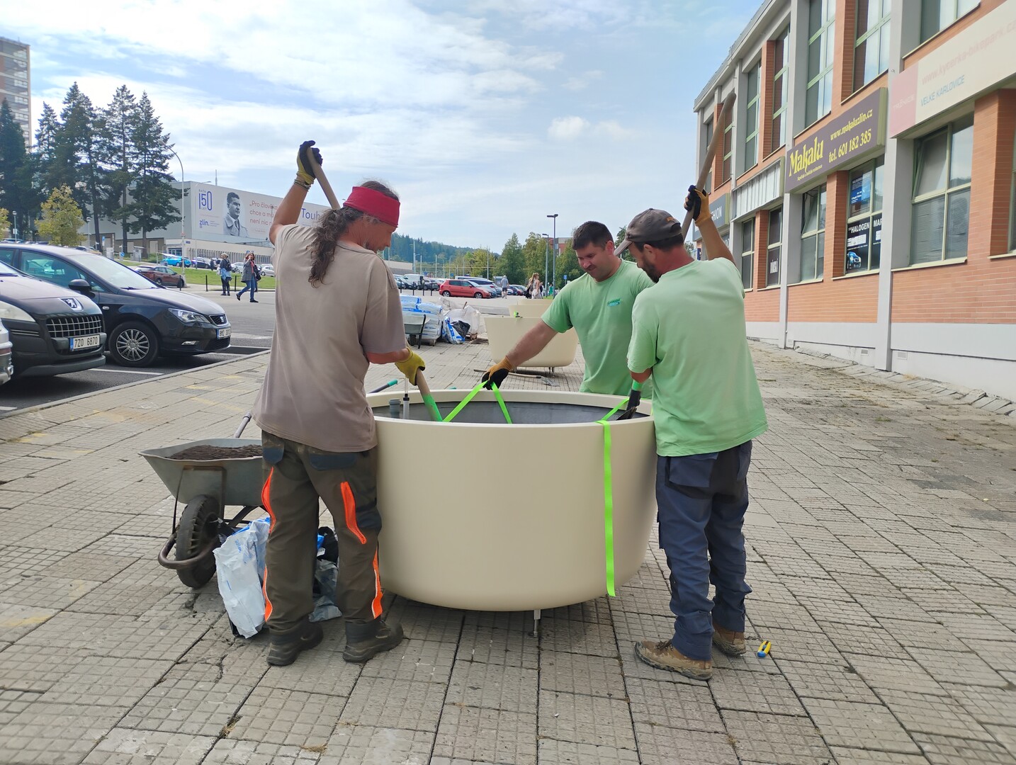 Pracovníci připravují kotvení stromu popruhy v květináči na náměstí Práce